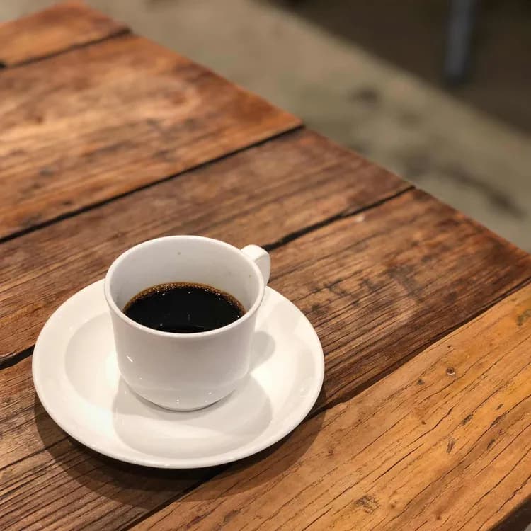 슈만과 클라라 평가 사진