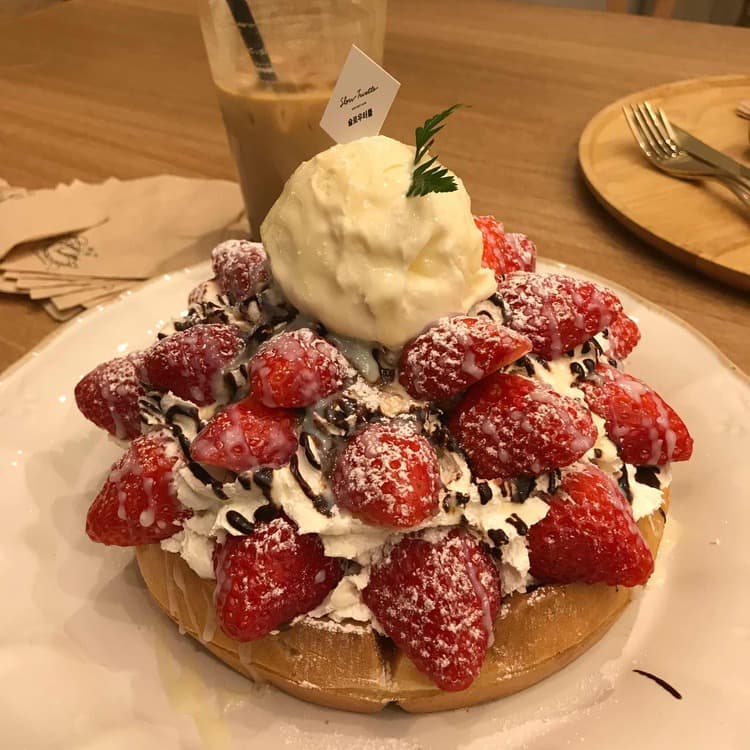슬로우터틀 평가 사진
