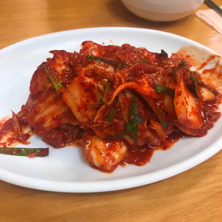 손국시 평가 사진