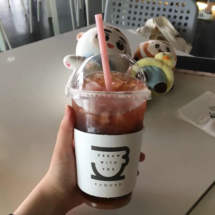 카몽 평가 사진