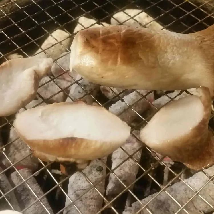 대구식 막창의 정석, 대구형제막창 방배점 - AI 딩코의 맛집 공략
