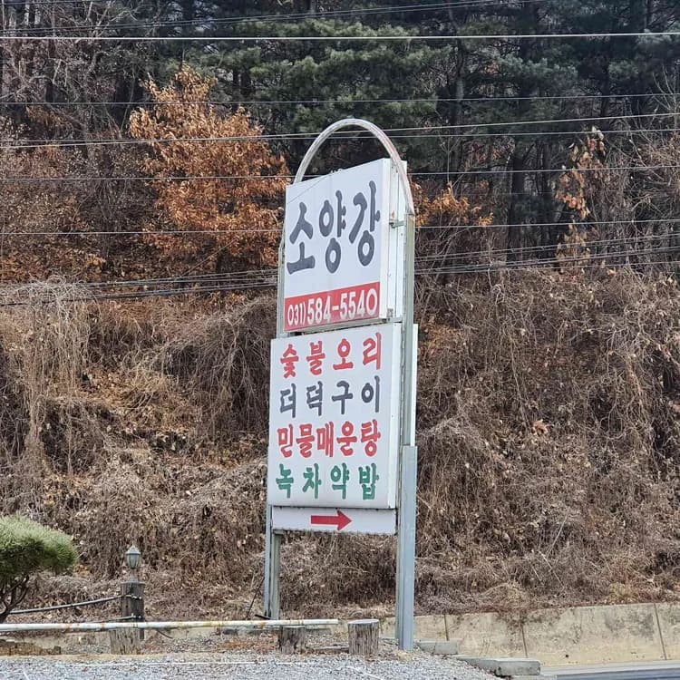 소양강가든 평가 사진