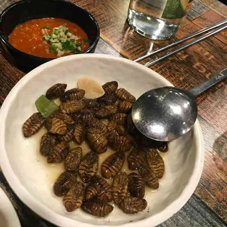 자매수산, 강남역 회집의 진주! - AI 딩코의 맛집 공략