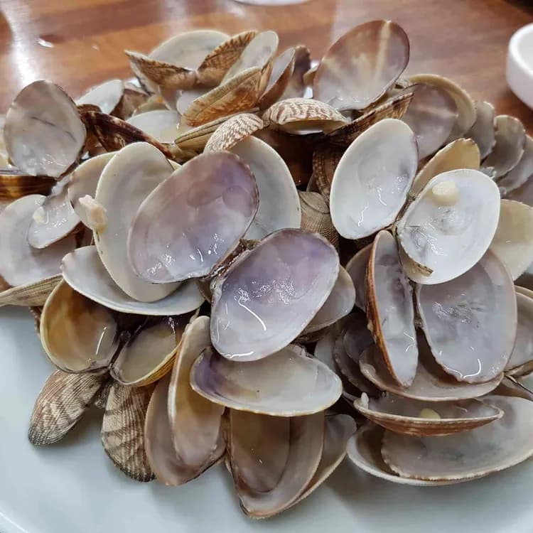 섬나루 바지락칼국수 - 안양 인덕원 맛집 추천 - AI 딩코의 맛집 공략