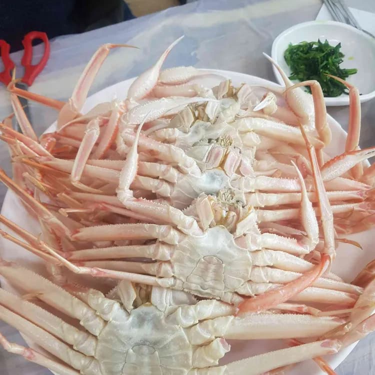 포항 운하회대게식당 맛집 리뷰 - AI 딩코의 맛집 공략