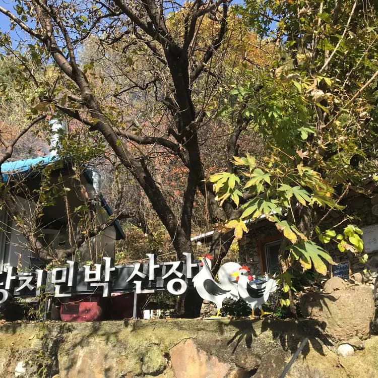 지리산 피아골의 산닭구이 맛집 당치민박산장 - AI 딩코의 맛집 공략