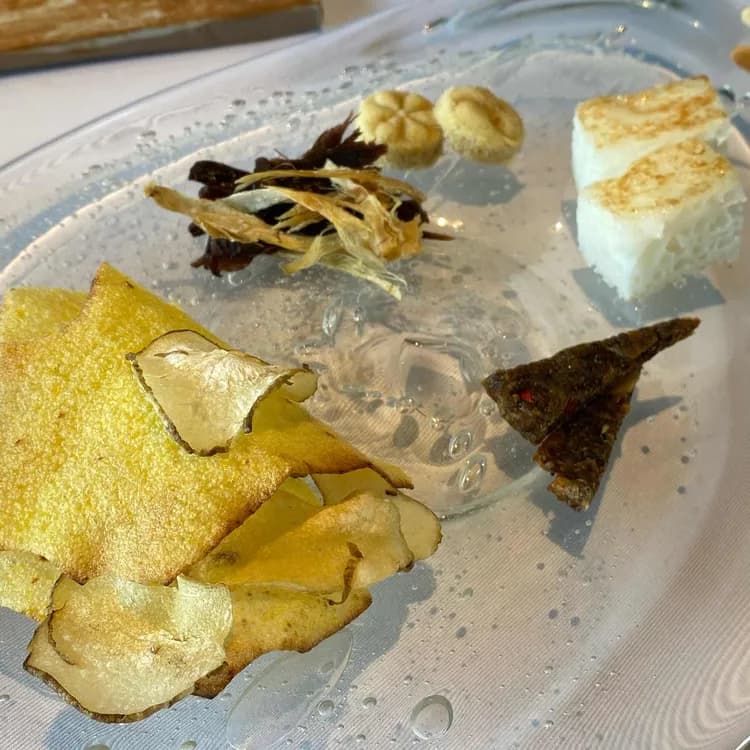 온지음 평가 사진