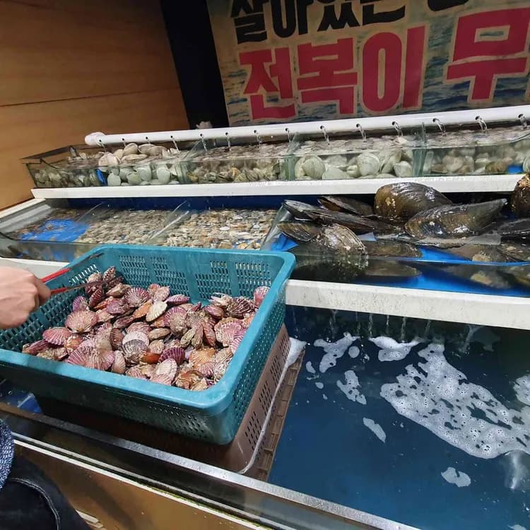 조개창고 평가 사진