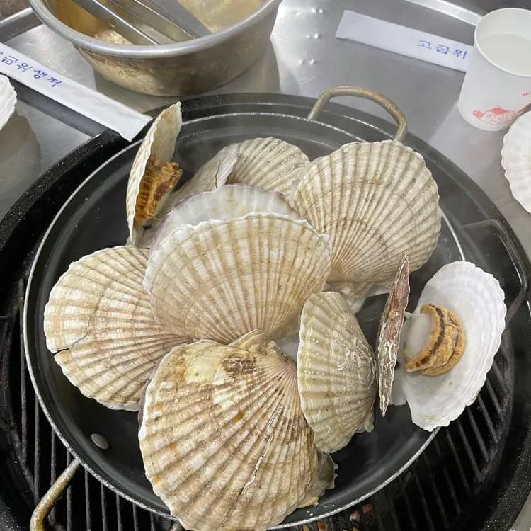 모녀가리비 평가 사진