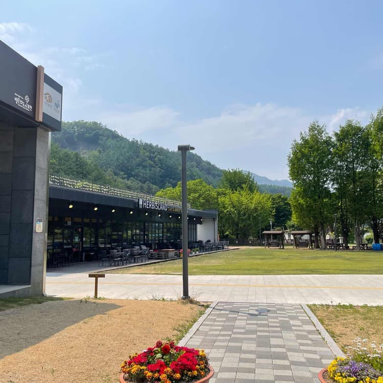 한탄강 품은 힐링 카페, 허브아일랜드 - AI 딩코의 맛집 공략