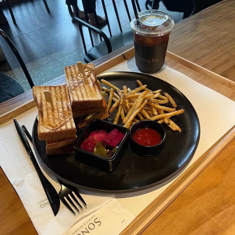 소노펫 Thinking Dog 평가 사진