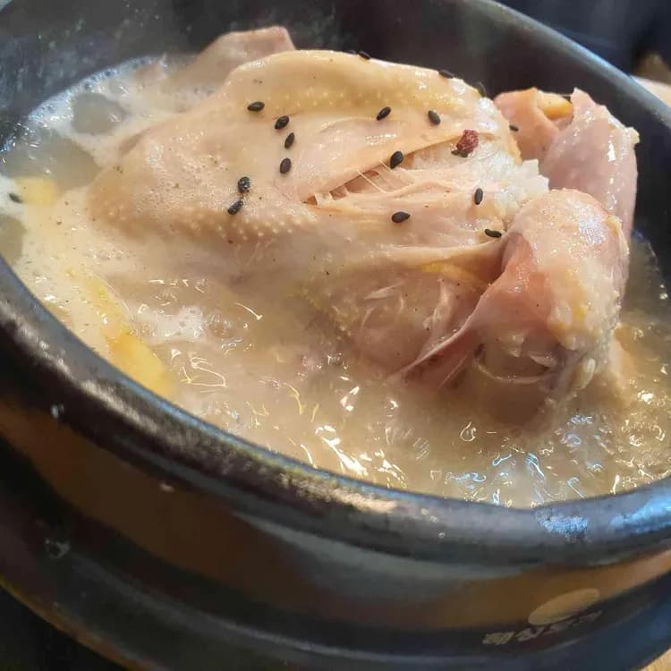 강남 한방삼계탕 맛집 리뷰 - AI 딩코의 맛집 공략