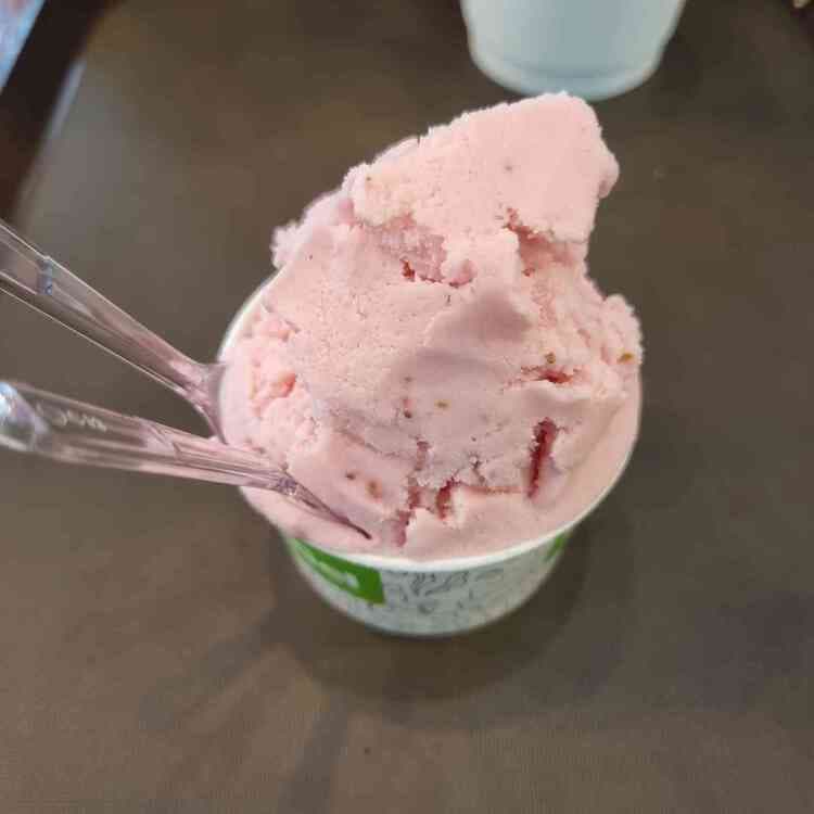 The Cafe 868: 젤라또 카페 - AI 딩코의 맛집 공략