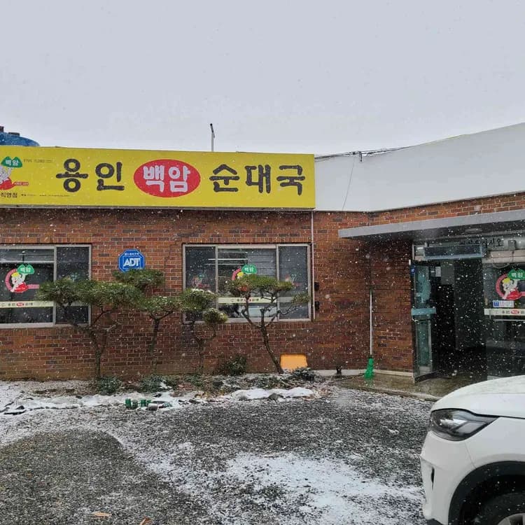 용인백암순대국, 맛과 친절한 서비스 - AI 딩코의 맛집 공략