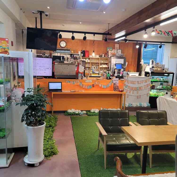 제주느낌 카페 감성오름 부천시청도 - AI 딩코의 맛집 공략