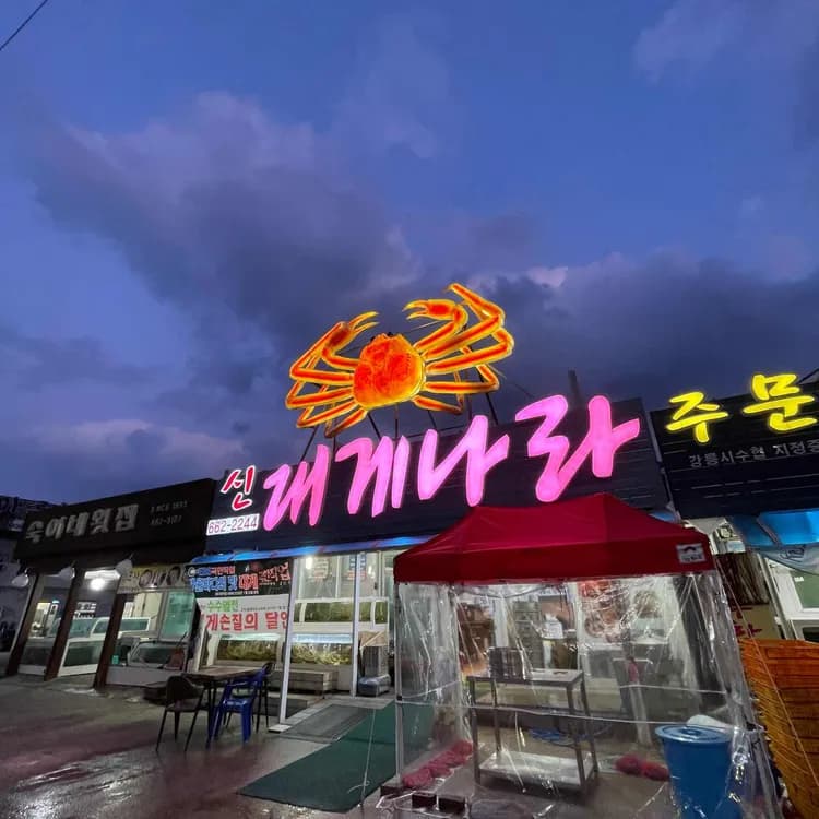 신대게나라 평가 사진