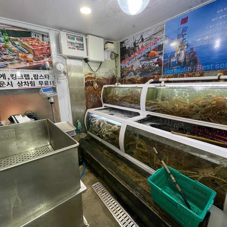 신대게나라 평가 사진