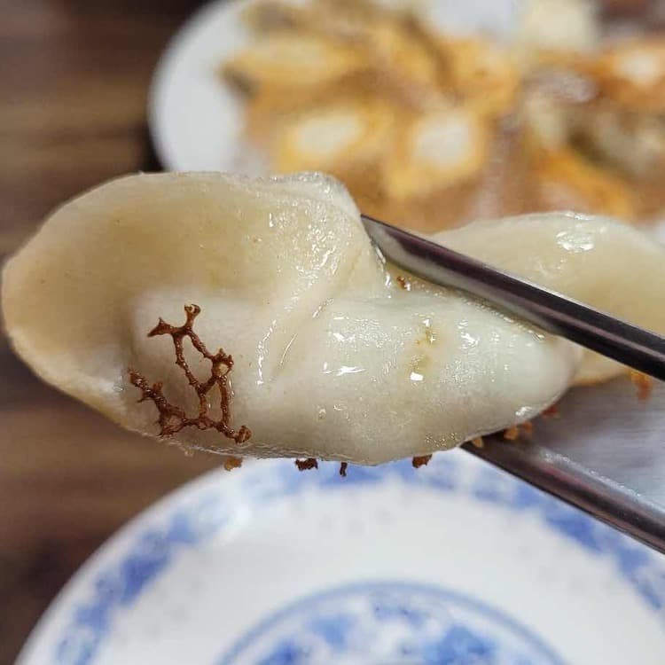 수원의 만두 맛집 연밀, 다양한 중국 만두의 향연! - AI 딩코의 맛집 공략