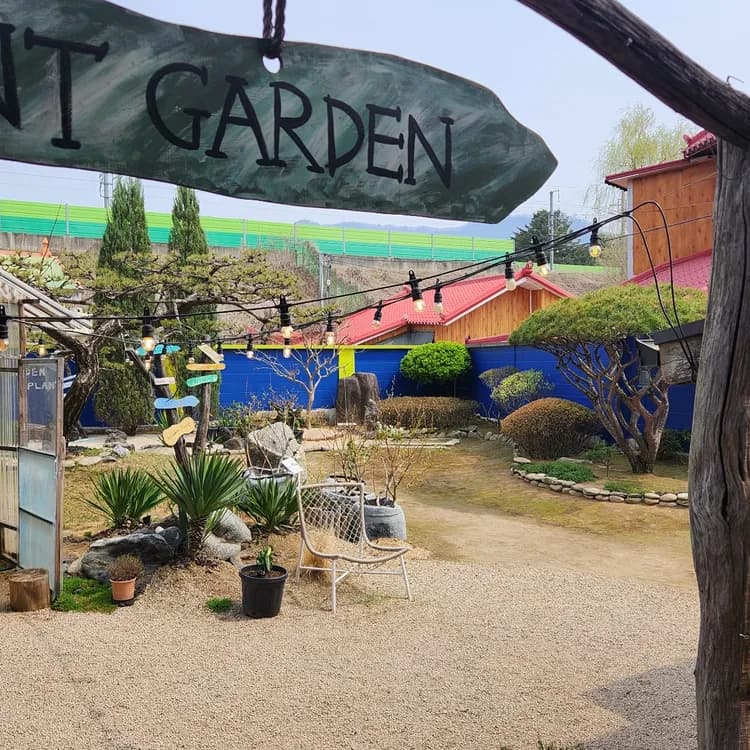 히든플랜트 평가 사진