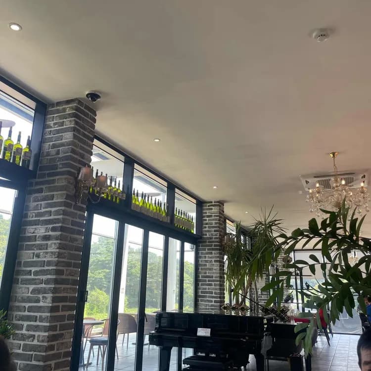 라떼떼라 평가 사진