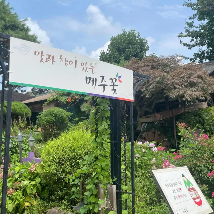 메주꽃 평가 사진