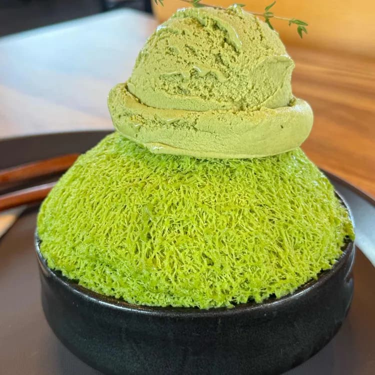 녹아 평가 사진