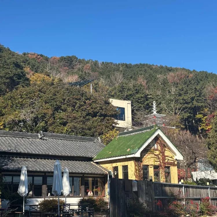 초량1941 평가 사진