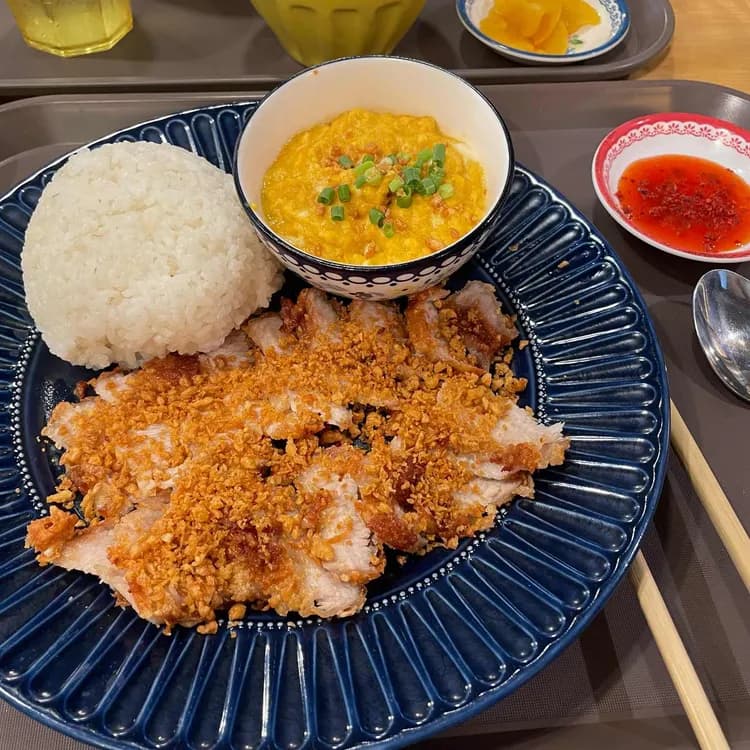 타논55 평가 사진