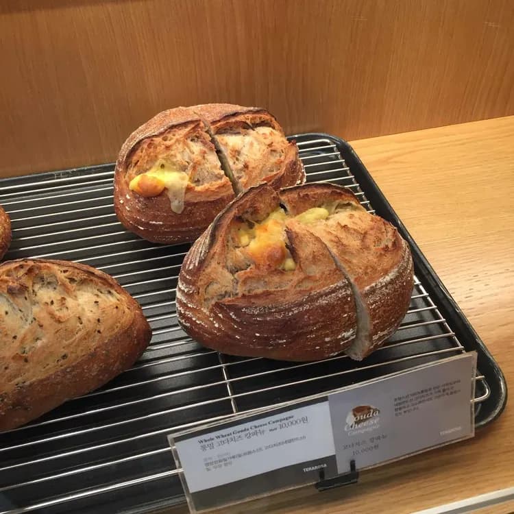 테라로사 평가 사진