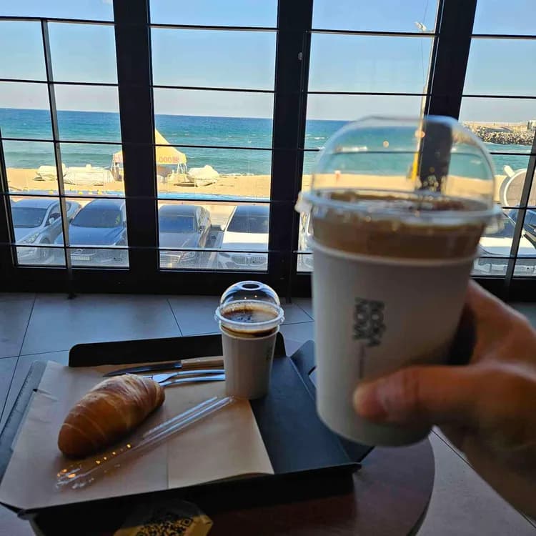 보사노바 평가 사진