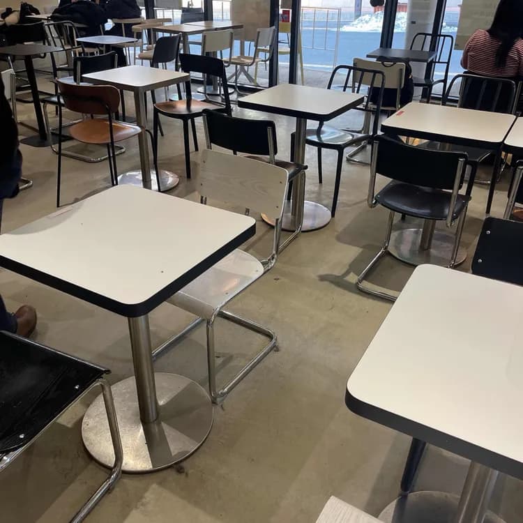 카몽 평가 사진