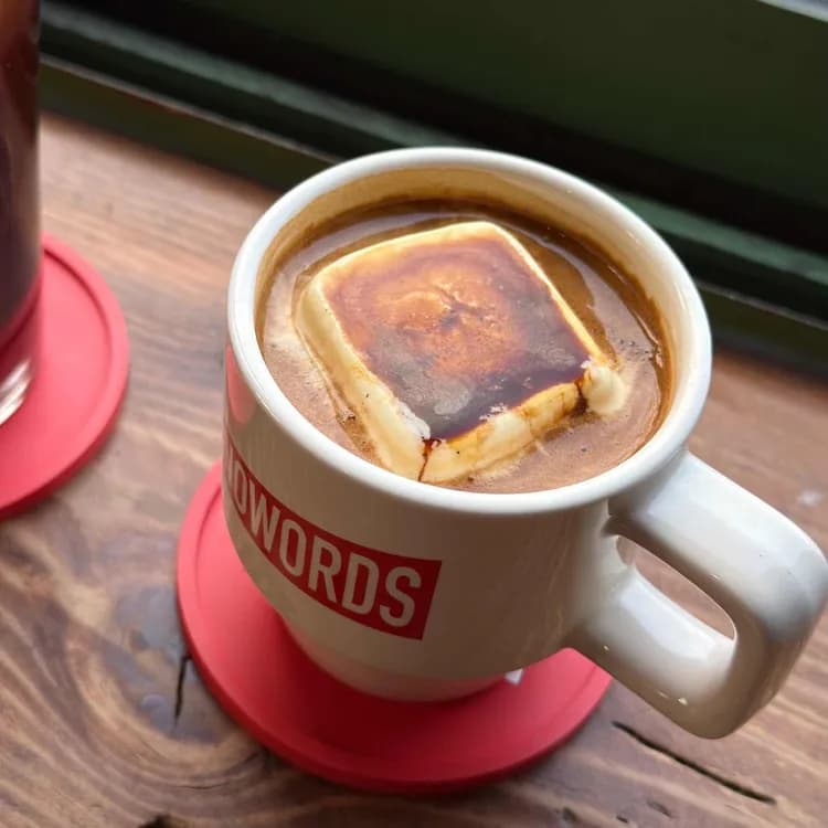 노워즈 평가 사진