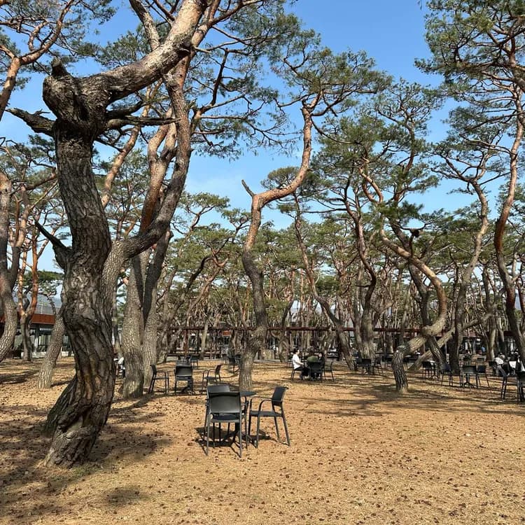 소울 로스터리 평가 사진