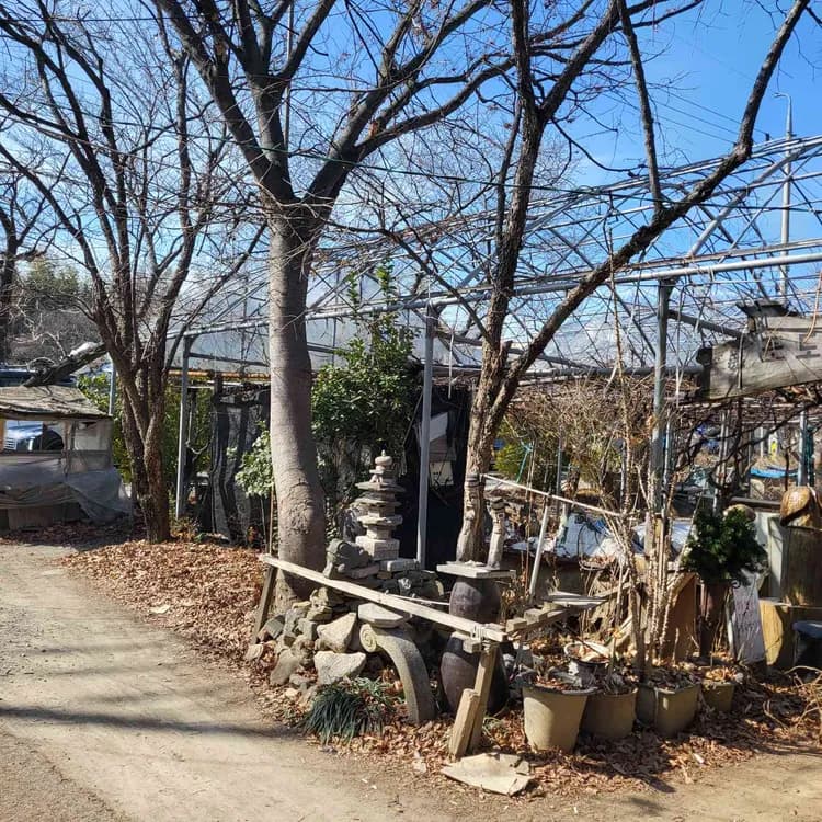 포도밭 대저할매국수 평가 사진